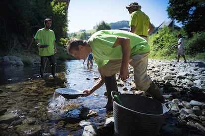 Ismael Sanfiz, en primer término, busca oro en el río Navelgas. Detrás, a la izquierda, su sobrino Hugo Sanfiz con Manolo Rodríguez y otros bateadores al fondo.