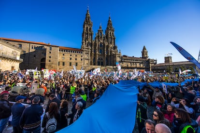 Manifestacin contra la macrocelulosa de Altri este domingo en Santiago.