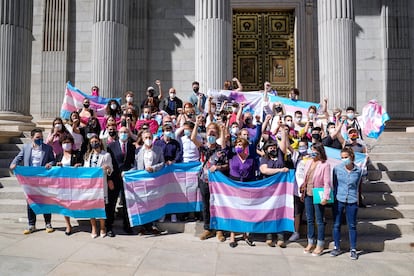 Colectivos LGTBI, junto a los promotores de la iniciativa, en la puerta del Congreso, este martes.