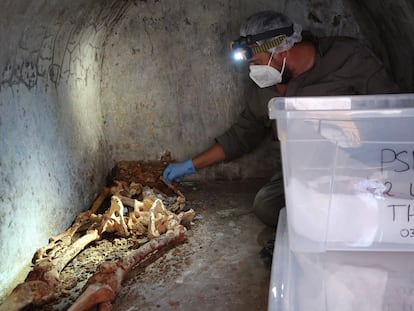 Llorenç Alapont, arqueólogo e investigador de la Universidad de Valencia, cataloga los restos de Marcus Venerius.