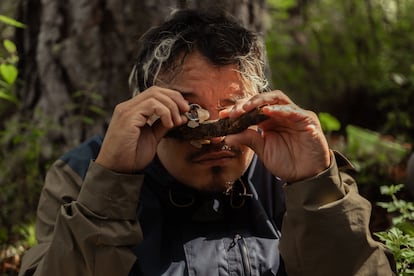 Durante las caminatas, los participantes encontraron diversas especies de hongos en los bosques que rodean la comunidad de San José del Pacifico, Oaxaca. 