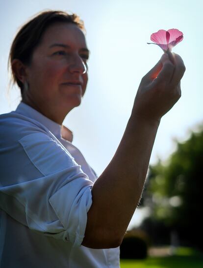 Iolanda Bustos recoge malvas de jardín.