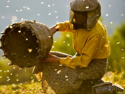 Hatice Muratova en una imagen de 'Honeyland'.