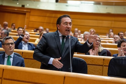 El ministro de Asuntos Exteriores, José Manuel Albares, interviene durante el Pleno del Senado este martes, en Madrid.