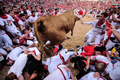 Una vaquilla salta entre los jóvenes que se tumban en el suelo en la plaza de toros de Pamplona.