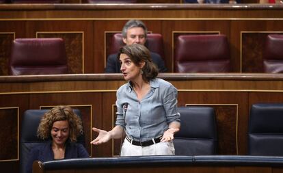 Teresa Ribera la semana pasada en el Congreso.