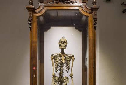 Esqueleto de Carlo Giacomini (1840 –1898), médico, antropólogo y anatomista italiano, que legó sus restos mortales al Museo de Anatomía Humana Luigi Rolando de Turín, junto con su colección formada por centenares de cráneos y cerebros, conservados con una técnica desarrollada por él mismo. Forma parte de la exposición 'Shit and Die' en el Palazzo Cavour.