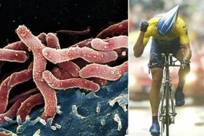 Imagen de bacterias (izquierda) y el ciclista Lance Armstrong compitiendo en el Tour de Francia.
