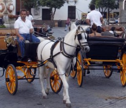 Dos coches de caballos, en Sevilla.