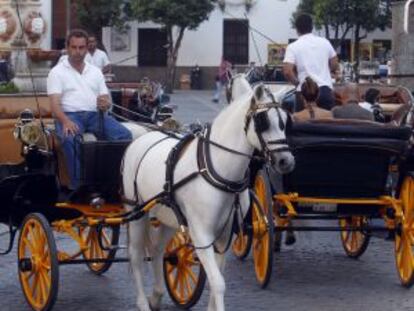 Dos coches de caballos, en Sevilla.