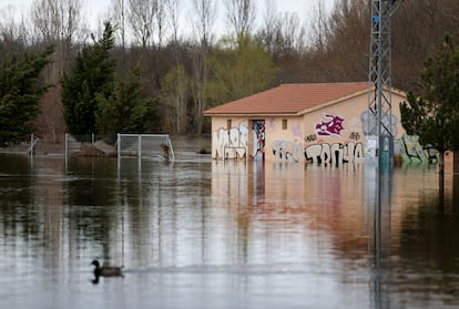 Inundaciones en Ávila causadas por el desbordamiento del río Adaja, este sábado. 