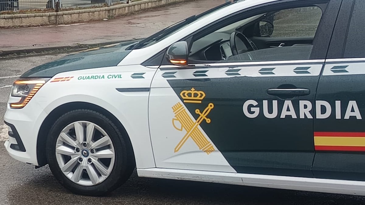 Detenido un hombre que utilizaba la técnica del mataleón para robar a personas mayores en Collado Villalba