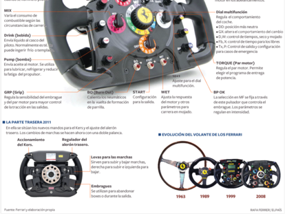 El volante de Fernando Alonso