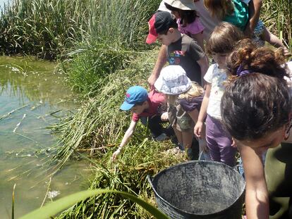 LOS NIÑOS, EN L'ALBUFERA