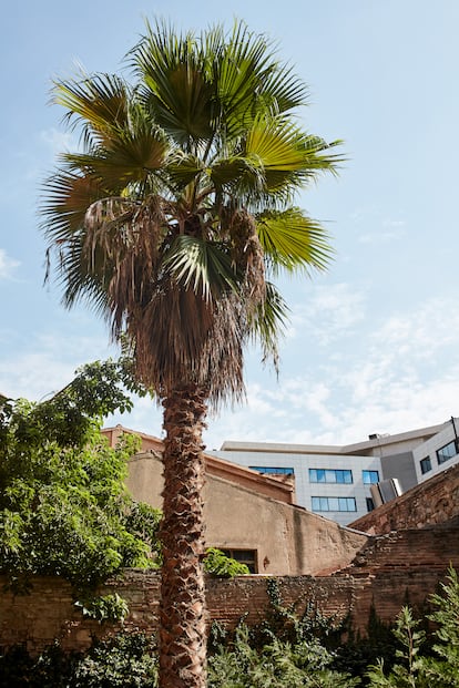 Vista del jardín de la casa de Francesc Pons, que da a la trasera de edificios industriales de Poble Nou.