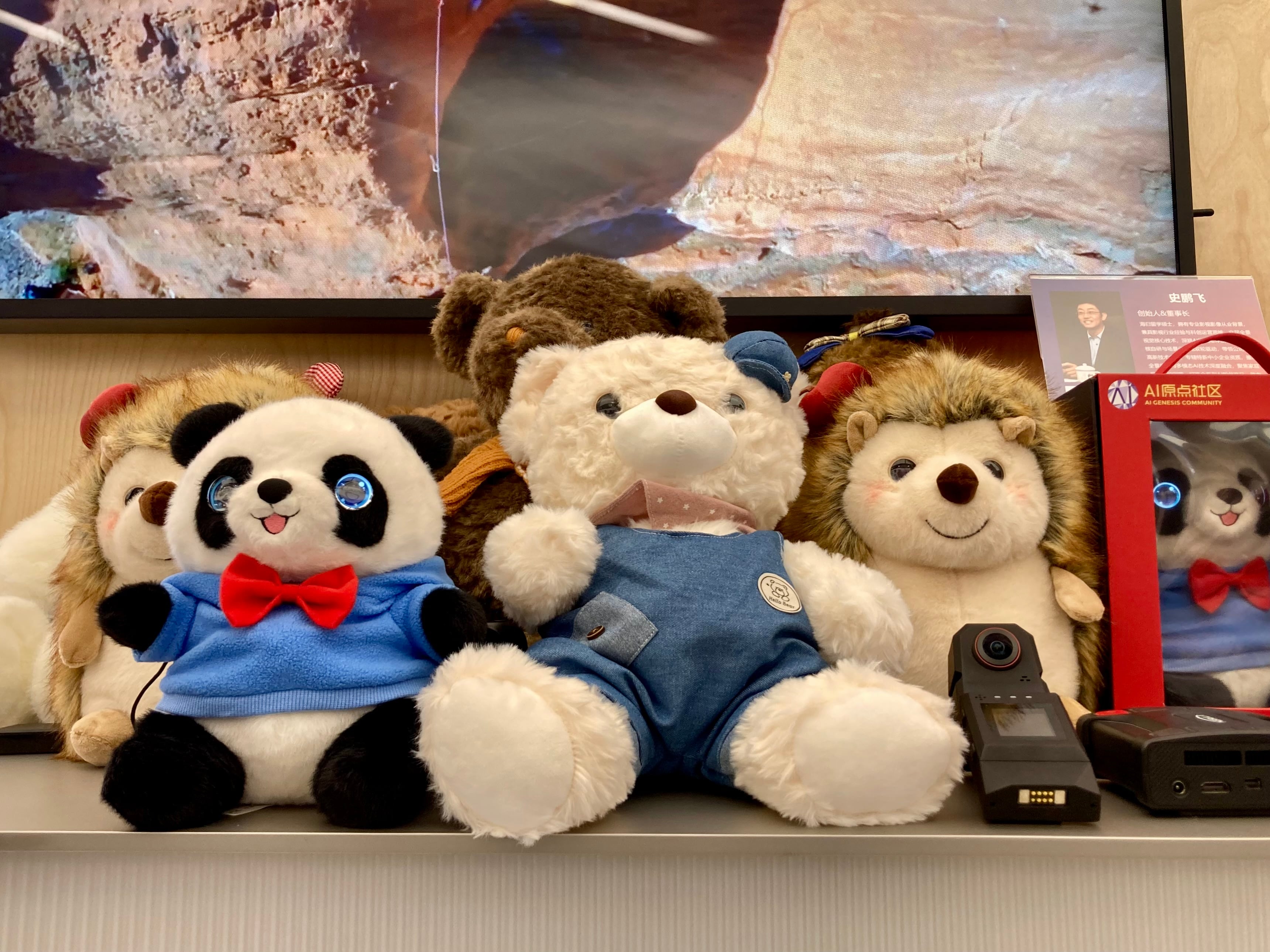 Los peluches inteligentes de Nebula, una empresa pequinesa, el jueves 26 de junio.