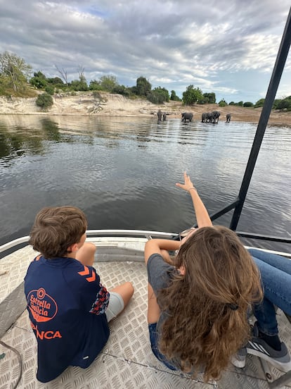 El recorrido en barco por el río Chobe como parte del safari del parque nacional.