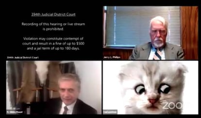 Captura de tela da reunião de segunda-feira, em que o advogado do Texas não conseguiu desabilitar o filtro de gato do Zoom.