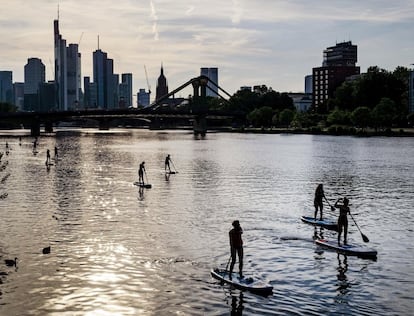Varias personas practican pádel surf en ell río Main en Frankfurt, Alemania, la tarde de lunes 24 de junio de 2019.