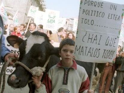 Manifestación de ganaderos por la crisis del vacuno, ayer en Santiago de Compostela.