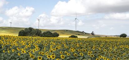 Parque de Los Almeriques, en Medina Sidonia (Cádiz).