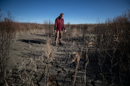 Romualdo Calahorra, operador de maquinaria del parque, observa la sequedad del terreno en una de las zonas centrales del humedal. 