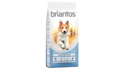 Este tipo de piensos bajo en calorías son ideales para perros poco activos que busquen una flora intestinal estable.