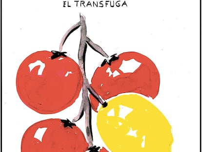 El Roto