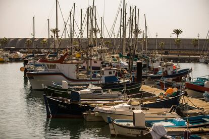 Barcos de pescadores parados en el puerto de Tazacorte, en La Palma, este miércoles. 