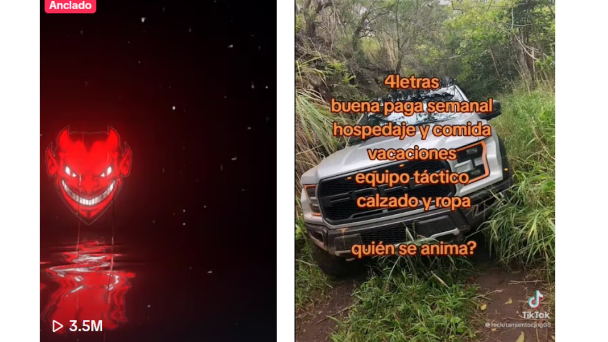 Emojis', jergas y 'hashtags': así atrae el Cartel Jalisco Nueva Generación y el de Sinaloa en TikTok a jóvenes a sus filas | EL PAÍS México