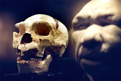 Cráneo número 5 (copia) hallado en la sima de los Huesos y reconstrucción del aspecto del individuo.