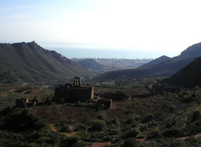 Entre parques, pinares, playas, naranjos, media montaña y espacios protegidos por el mar.