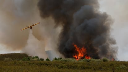 A firefighting airplane drops water over a wildfire on the outskirts of Abejera de Tabara, Zamora, Spain, August 13, 2025