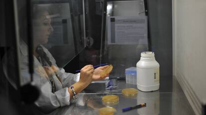 Las mujeres son mayoría entre los investigadores predoctorales, pero desaparecen en los altos puestos científicos.