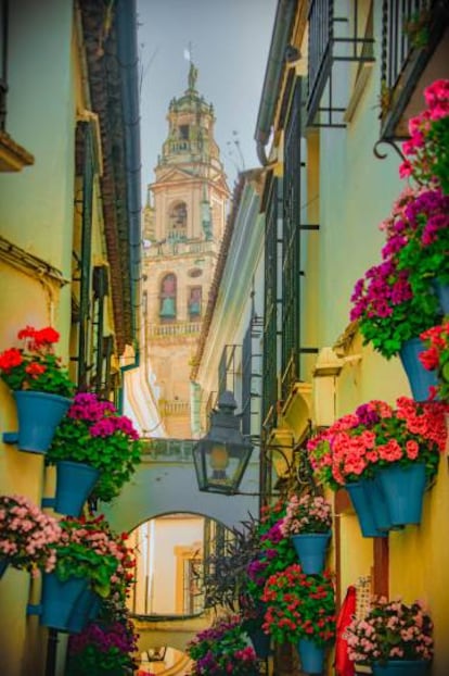 La Calleja de las Flores y, al fondo, la Mezquita de Córdoba.