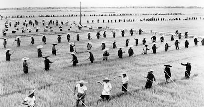 Campesinos trabajando en una granja comunal china durante el periodo de colectivización de tierras (1959-1961).