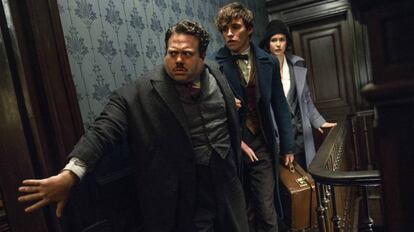 Dan Fogler, Eddie Redmayne e Katherine Waterston, em 'Animais fantásticos e Onde Habitam'.