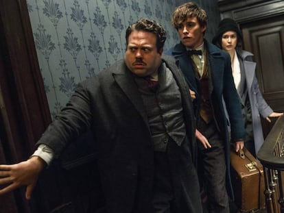 Dan Fogler, Eddie Redmayne e Katherine Waterston, em 'Animais fantásticos e Onde Habitam'.