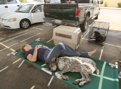 Una mujer y su perro duermen en una camilla en el aparcamiento del Middletown High School, tras ser evacuada debido a un incendio en Middletown, California. 2 de julio de 2014.