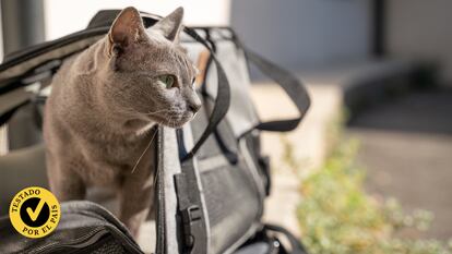 Artículo de EL PAÍS Escaparate que compara y pone nota a los mejores transportines para gatos de 2024.