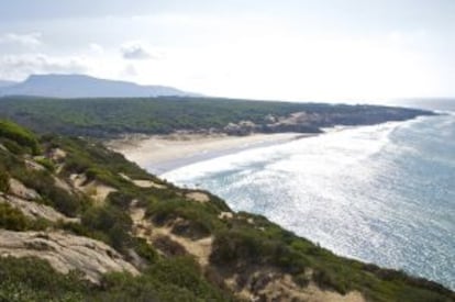 Playa de Cañuelo, en Cádiz.