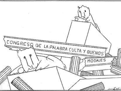 MÁXIMO