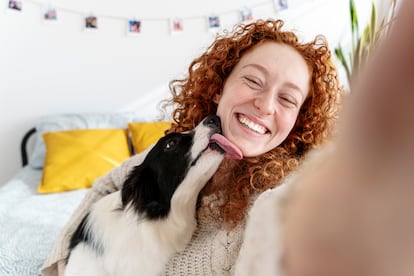 Empatía con perros domésticos