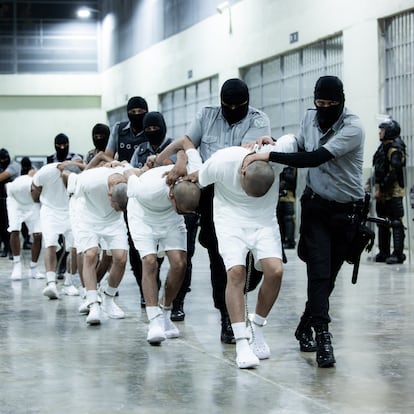 Venezuelans deported from the United States at the CECOT facilities in El Salvador