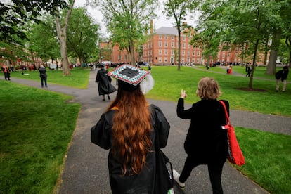 El recinto de la Universidad de Harvard, en Cambridge (Estados Unidos), el pasado 29 de mayo.