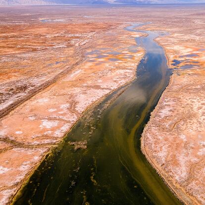 MEX7654. SAN LUIS RIO COLORADO (MÉXICO), 26/03/2025.- Fotografía cedida por Rise The River que muestra el Río Colorado en San Luis Río Colorado (México). Los Gobiernos de México y Estados Unidos afrontan la sequía en sus más de 3.000 kilómetros de frontera compartida en medio de un compleja relación bilateral y con dificultades para el cumplimiento del Tratado de la Distribución de Aguas Internacionales sellado entre los dos países en 1944, advirtieron este miércoles especialistas en el Día Mundial del Clima. EFE/ Rise The River /SOLO USO EDITORIAL/SOLO DISPONIBLE PARA ILUSTRAR LA NOTICIA QUE ACOMPAÑA (CRÉDITO OBLIGATORIO)
