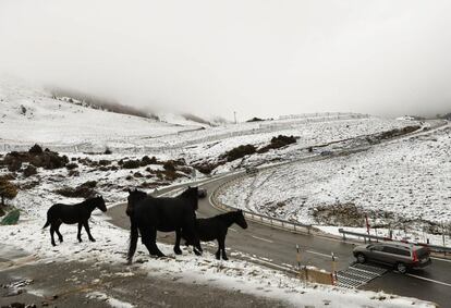 Varios coches circulan por la NA-137 desde el valle de Belagoa (Navarra) donde la nieve caída esta madrugada permanece en las cotas mas altas del pirineo navarro, el 28 de octubre.