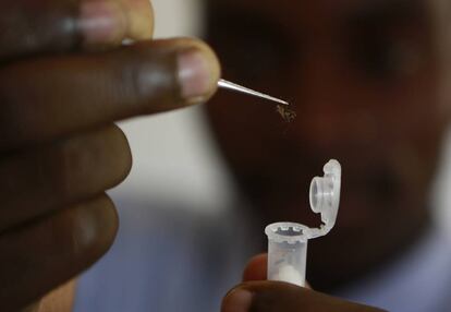 Estudio para la erradicaci&oacute;n de la malaria en Manhi&ccedil;a (Mozambique).