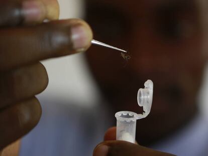 Estudio para la erradicaci&oacute;n de la malaria en Manhi&ccedil;a (Mozambique).