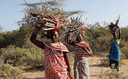 Estas mujeres de la tribu samburu escaparon de la mutilación genital femenina y otros tipos de violencia de género. En la imagen, llevan leña en la cabeza para usarla como combustible en su pueblo: Umoja.